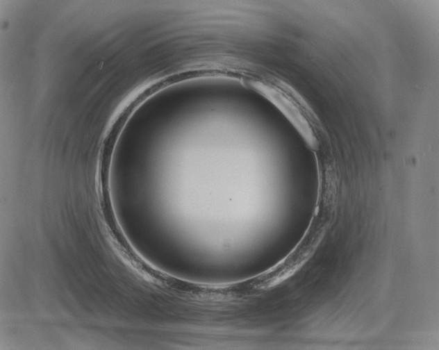 X0000084520788200702231133