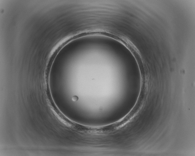 X0000084520789200702231133