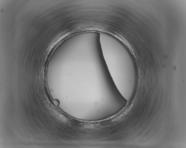 X0000084520790200702231133