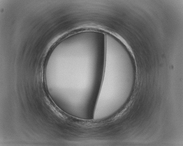 X0000084520791200702231133