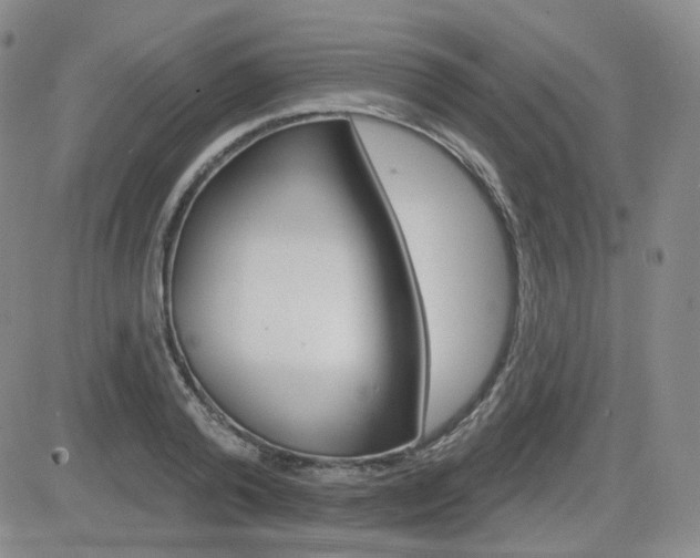 X0000084520792200702231133