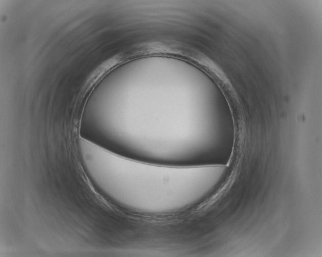 X0000084520793200702231133