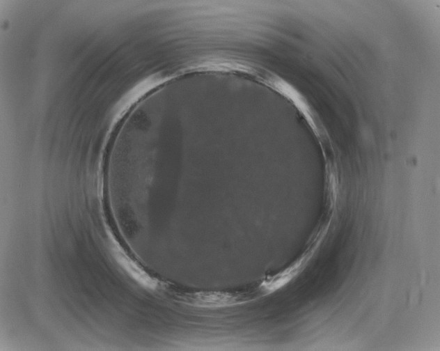 X0000084520795200702231133