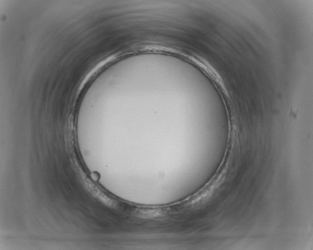 X0000084520798200702231133