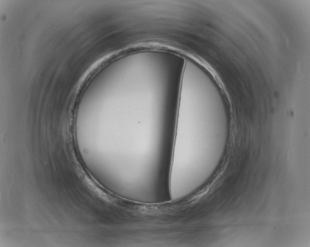 X0000084520799200702231133