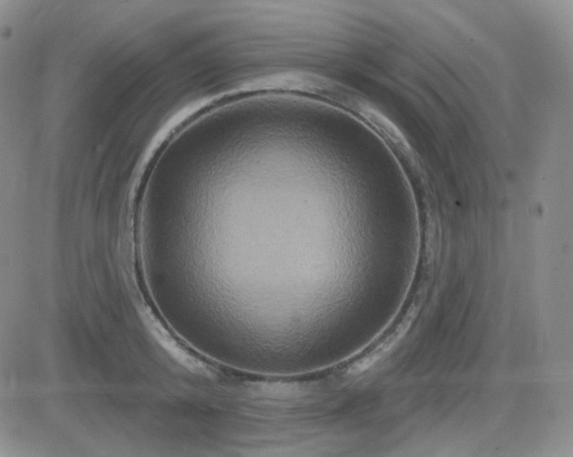 X0000084520800200702231133