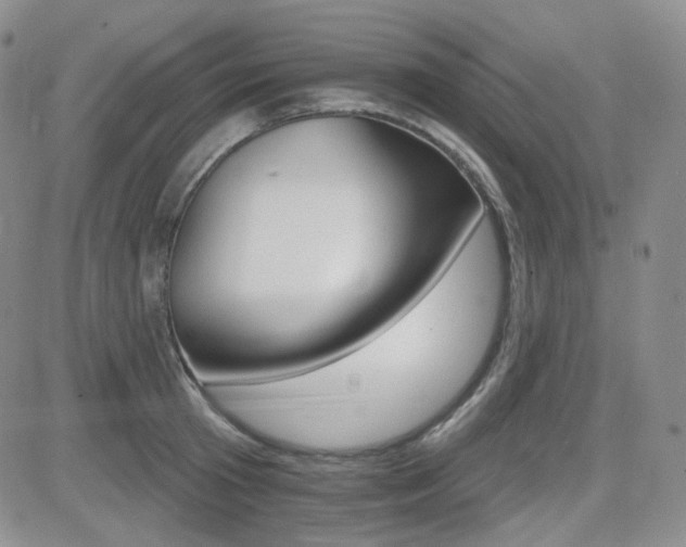 X0000084520801200702231133