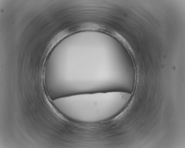 X0000084520802200702231133