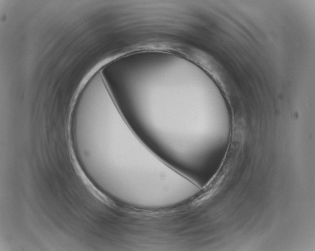 X0000084520803200702231133