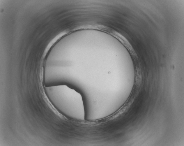 X0000084520804200702231133