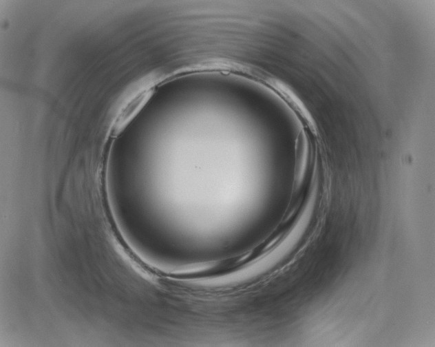 X0000084520805200702231133