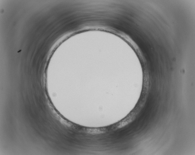 X0000084520807200702231133