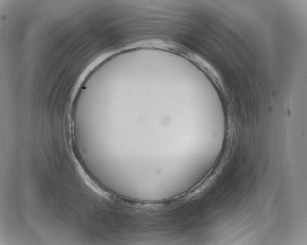 X0000084520808200702231133