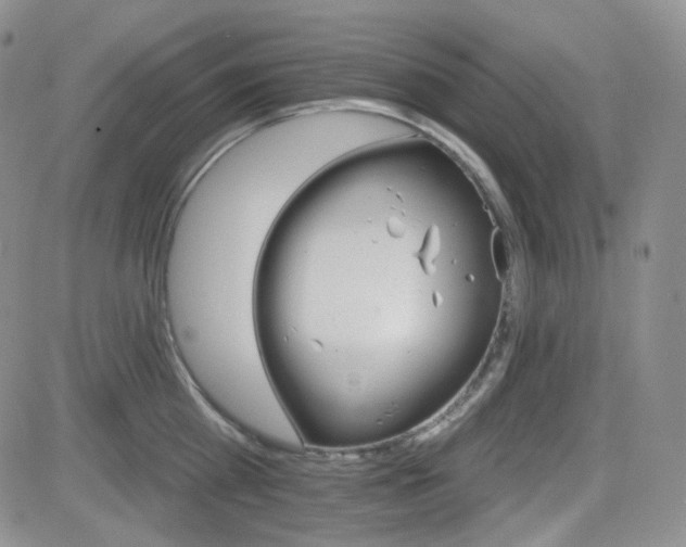 X0000084520809200702231133