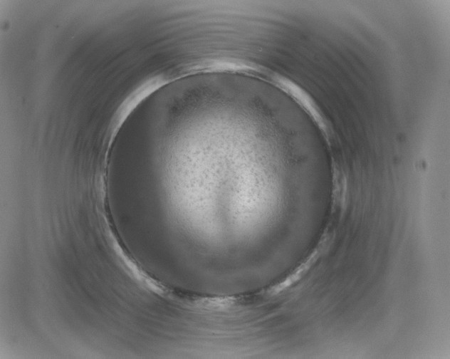 X0000084520810200702231133