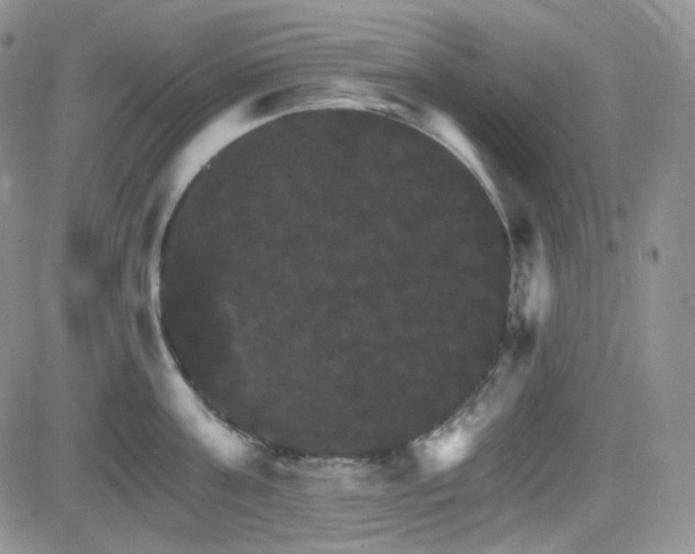 X0000084520811200702231133