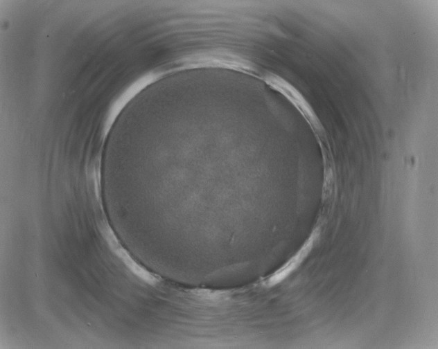 X0000084520812200702231133