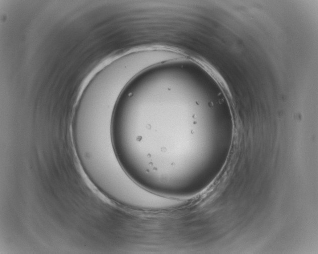 X0000084520813200702231133