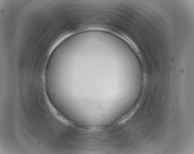 X0000084520814200702231133