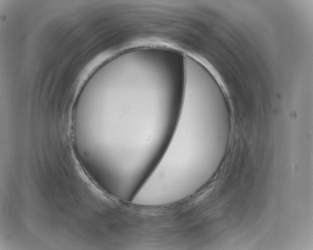 X0000084520815200702231133