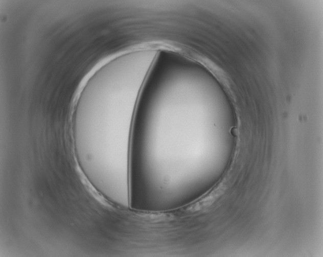 X0000084520816200702231133