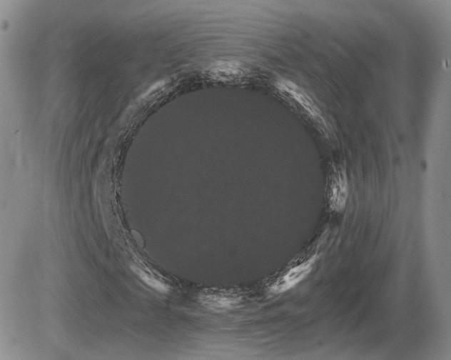 X0000084520817200702231132