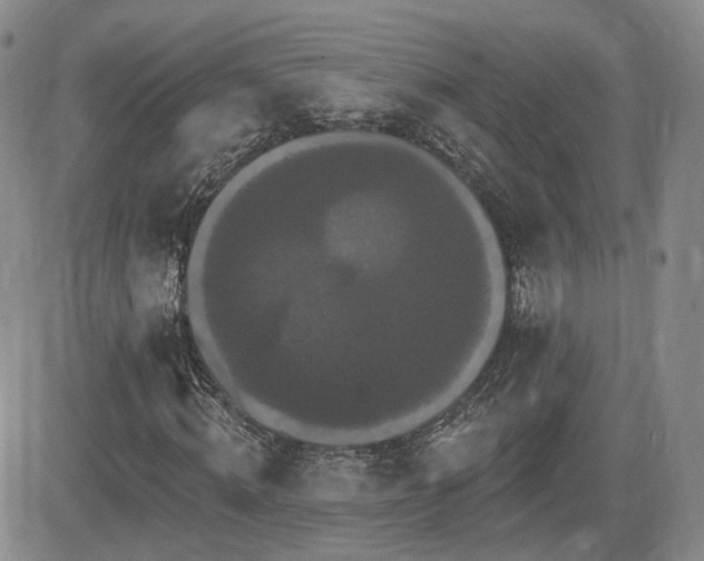 X0000084520820200702231132