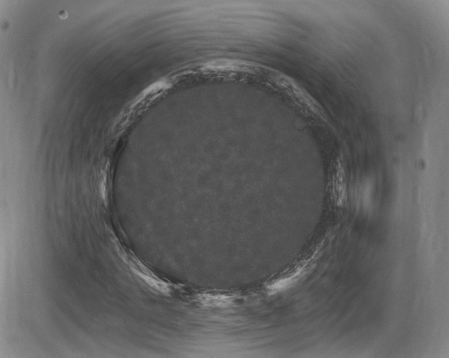 X0000084520821200702231132