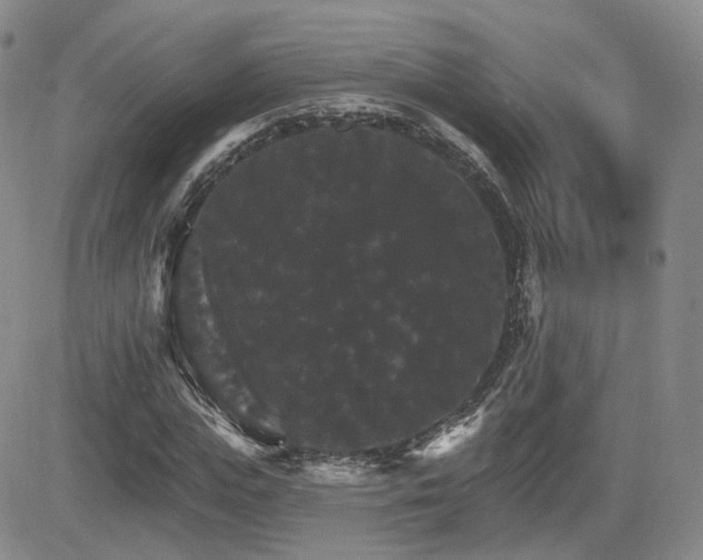 X0000084520823200702231132