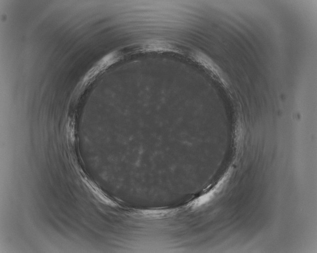 X0000084520825200702231132