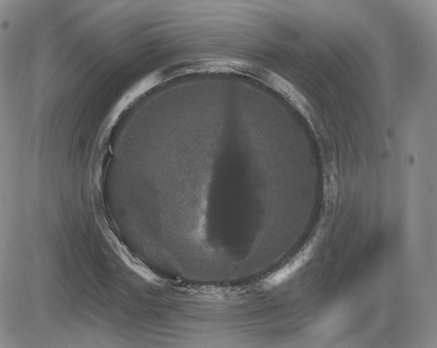 X0000084520827200702231132