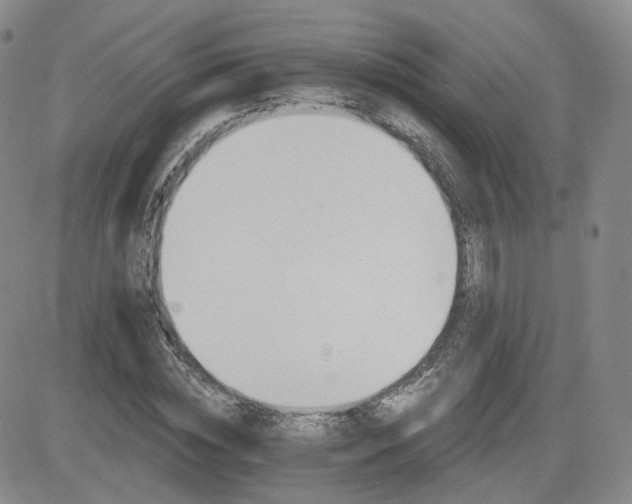 X0000084520828200702231132