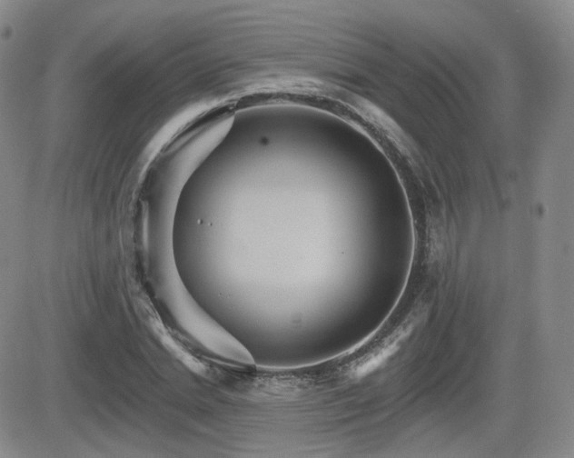 X0000084520830200702231132