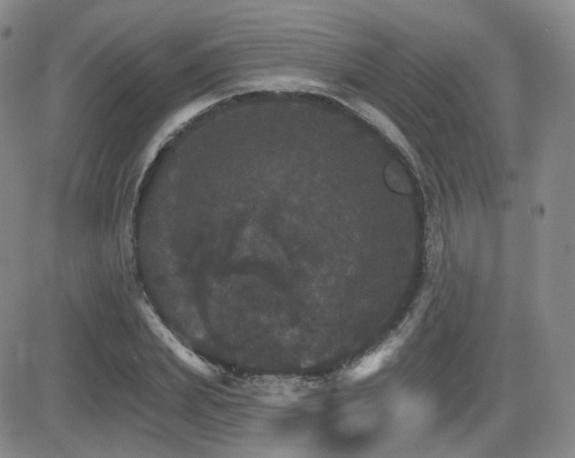 X0000084520831200702231132