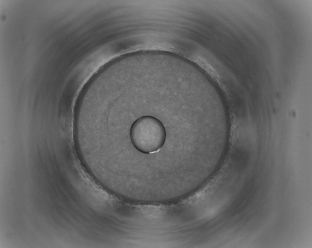 X0000084520836200702231132