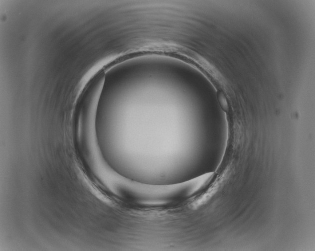 X0000084520838200702231132