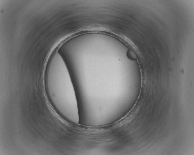 X0000084520840200702231132