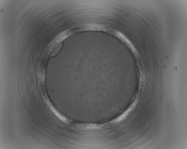 X0000084520841200702231132