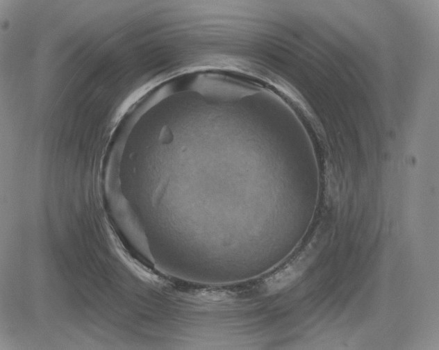 X0000084520842200702231132