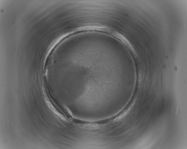 X0000084520844200702231132