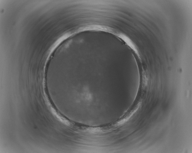 X0000084520845200702231132