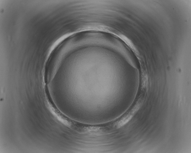 X0000084520846200702231132