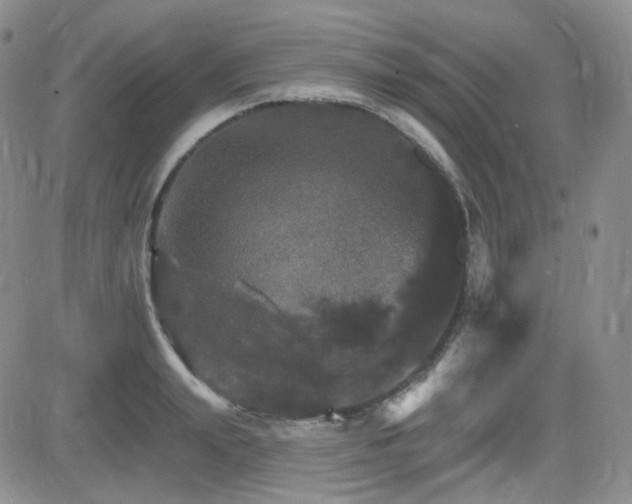 X0000084520847200702231132