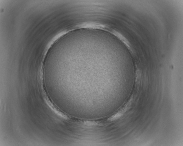 X0000084520848200702231133