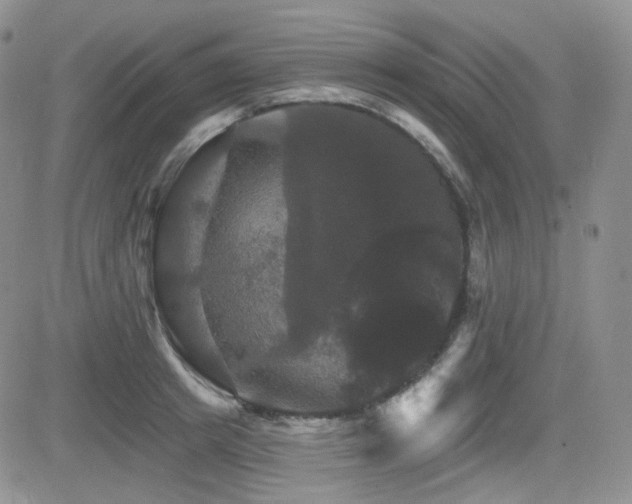 X0000084520849200702231133