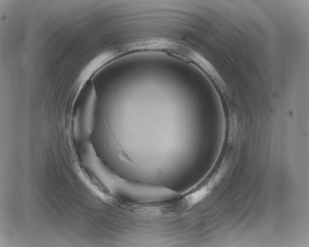 X0000084520850200702231133