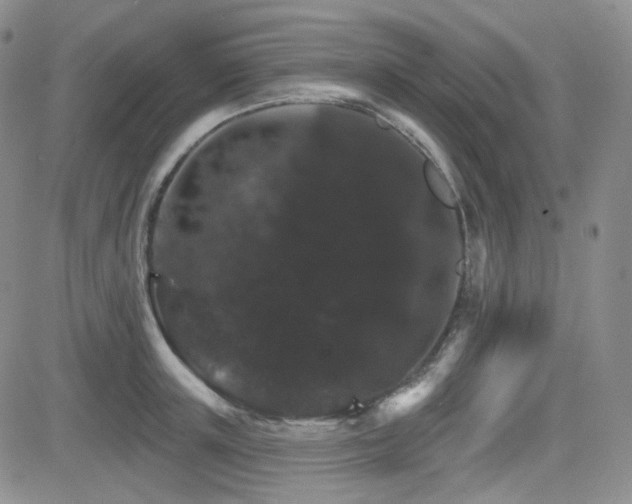 X0000084520851200702231133