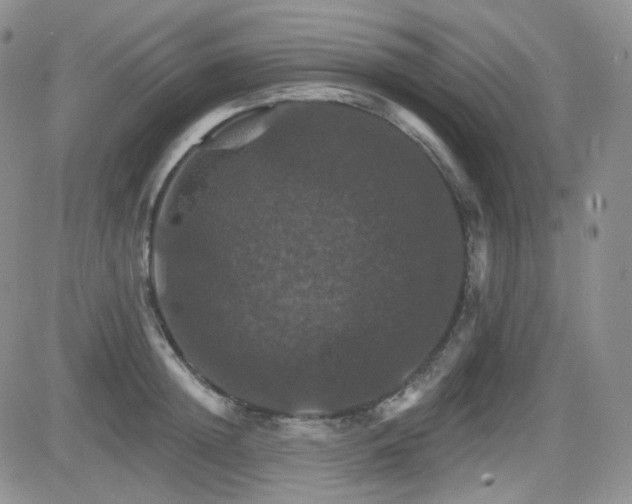 X0000084520852200702231133