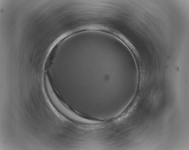 X0000084520853200702231133