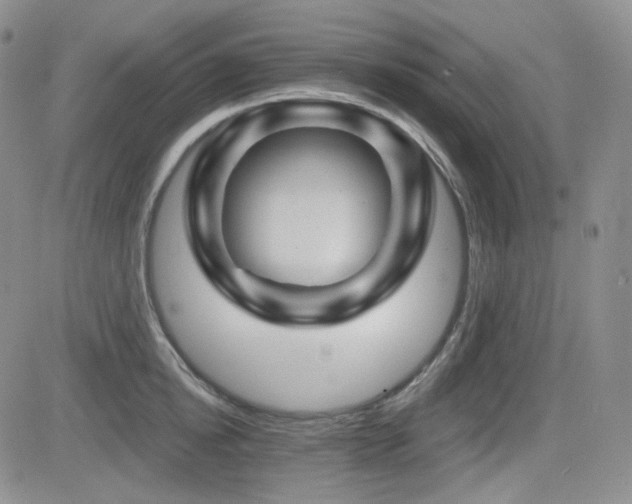 X0000084520854200702231133